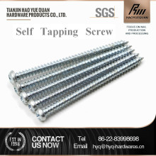 19mm nickel plated pan head ss self taping screw good selling