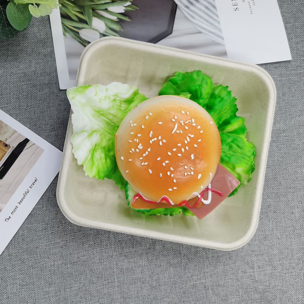 sugarcane tableware bagasse tray