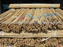 Bamboo canes