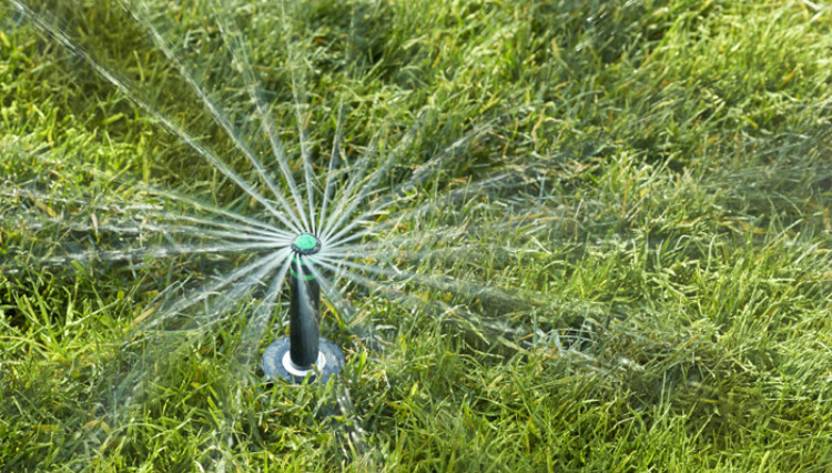 irrigation pop up rotary