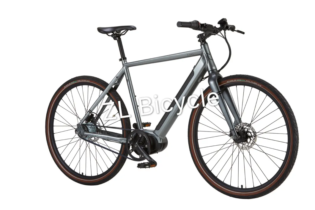 MID Drive Electric Bicycle