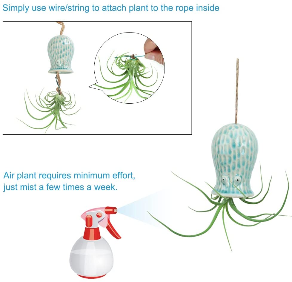 Schattige octopus luchtplant hanger muurplanter