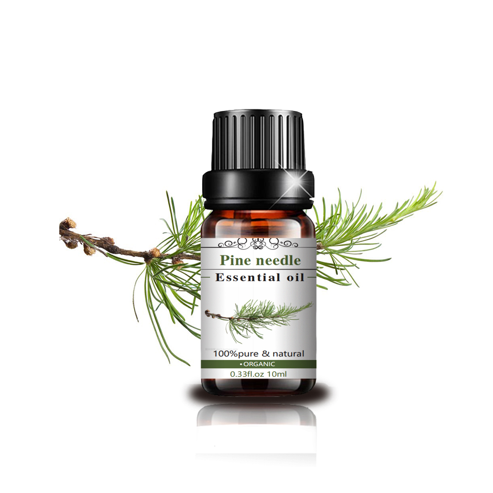 High Quality Essential Oil Pine needle oil for sale