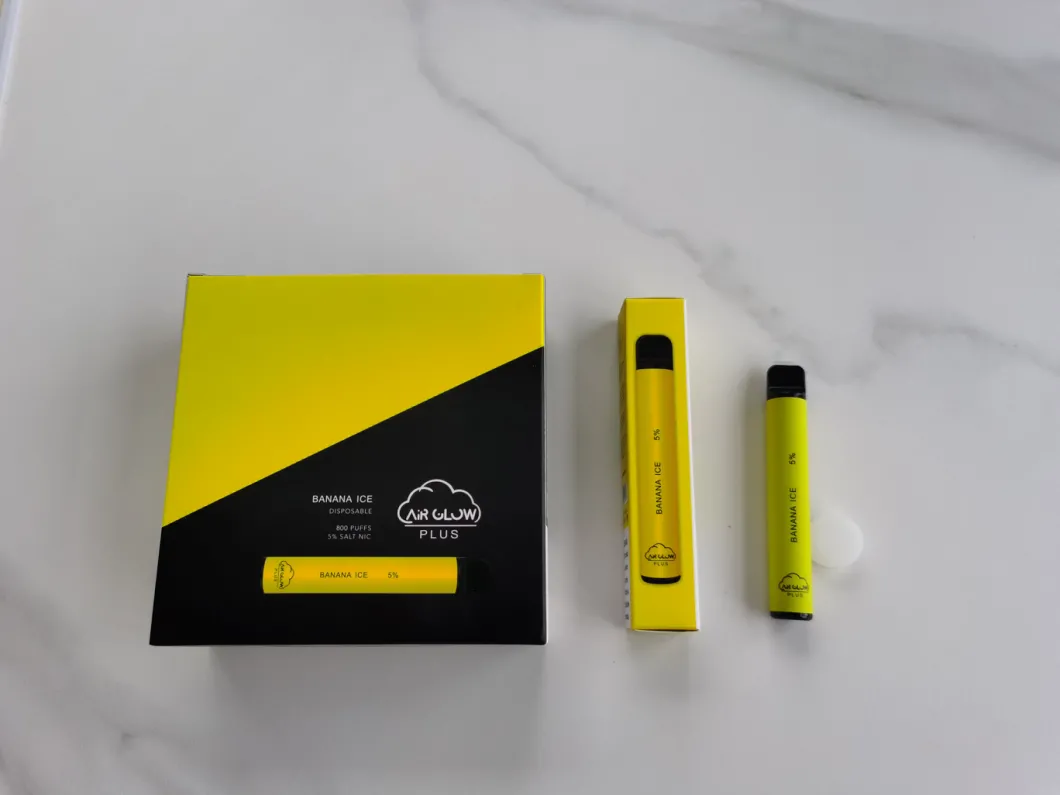 2021 Best Seller 1000 Puffs Disposable Vape Pen with 20 Flavors
