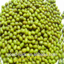 mung beans for food grade