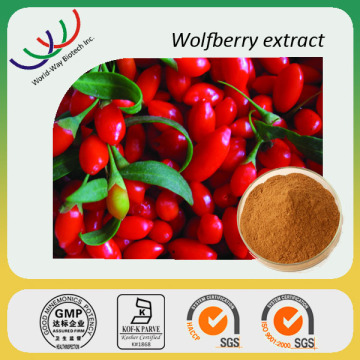 Competitive Price Goji Berry Extract/Wolfberry Extract with Lycium Barbarum Polysaccharides