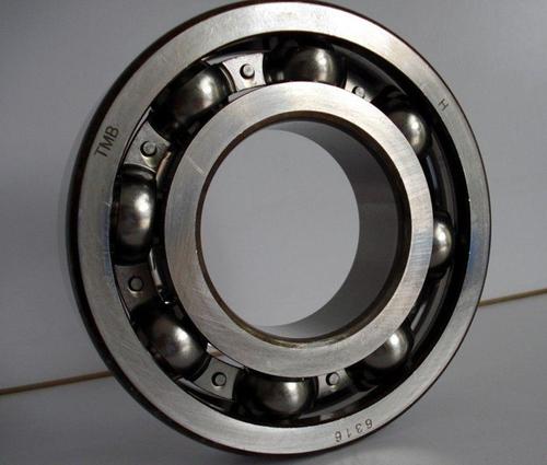 Electric Motor Bearings