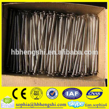Building Material Q195 Nails/ Q235 Common Wire Nails