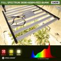 Hydroponics che coltiva luce UV IR 640W