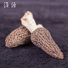 Dried Morchella