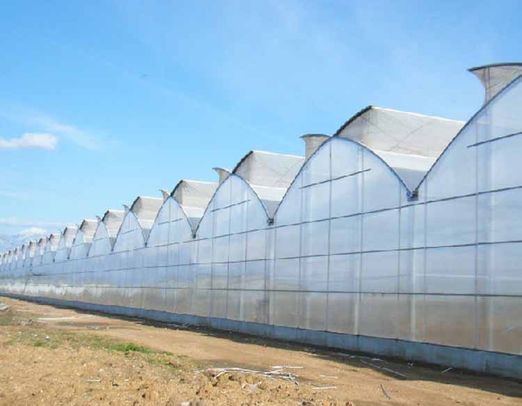 Saw tooth roof vent multi span plastic greenhouse