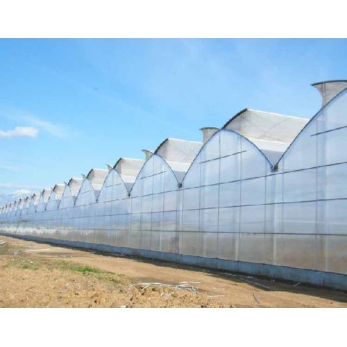Natural Ventilation Single Span Greenhouse
