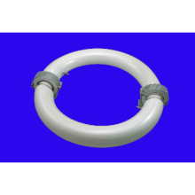 Induction Bulb