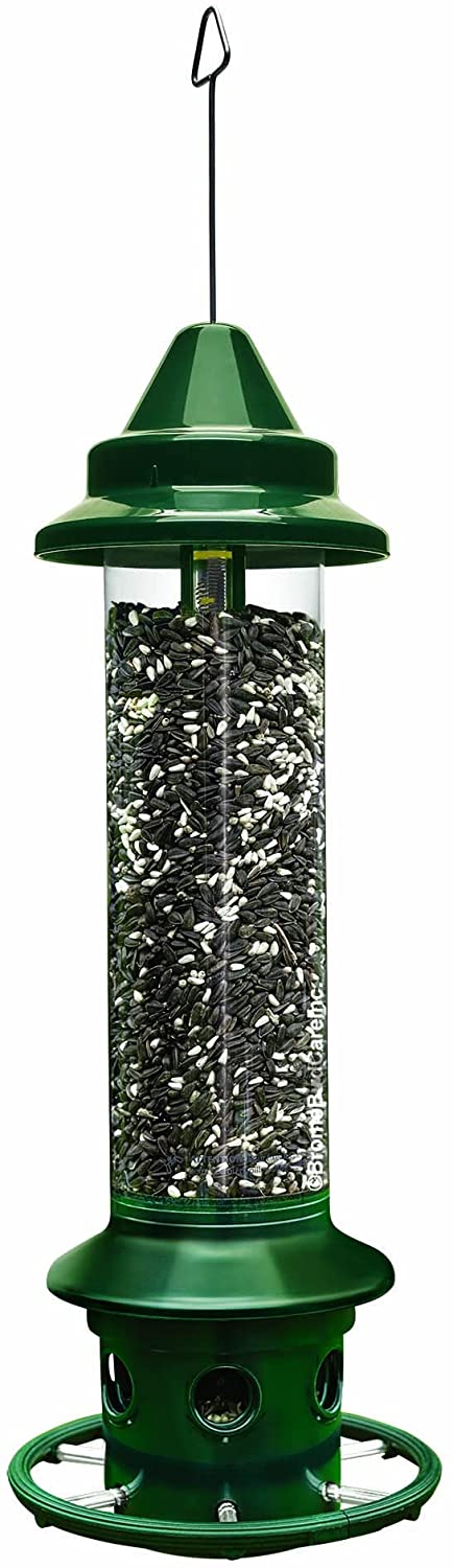 Squirrel Buster Plus Squirrel Proof Bird Feeder