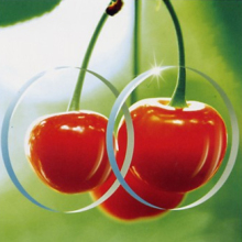 1.499-Sv/Bifocal/Trifocal/Progressive Lens