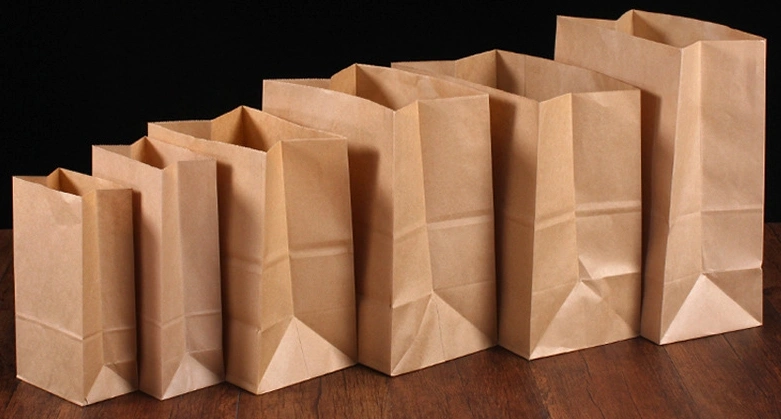 High Quality Factory Price Wholesale Printed Brown Kraft Paper Bag