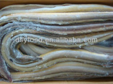 frozen conger eel