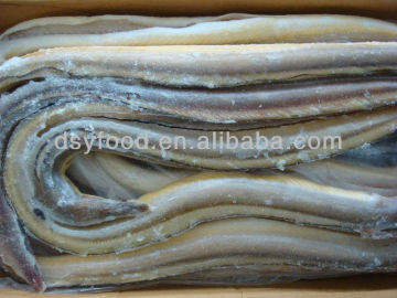 frozen conger eel