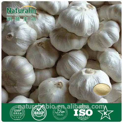 Natural Garlic Extract Powder For Deodorant