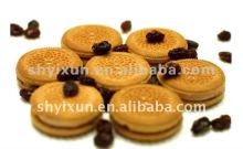 YX800 Full Automatic Hard Biscuit Machines