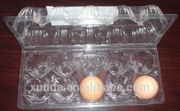 rectangular 10 Cell Disposable clear Plastic Egg Tray