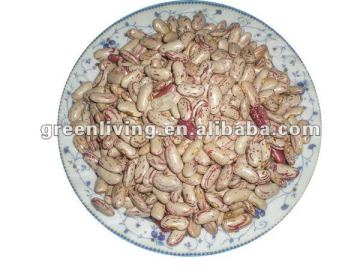 chinese light speckled kidney beans(dry)