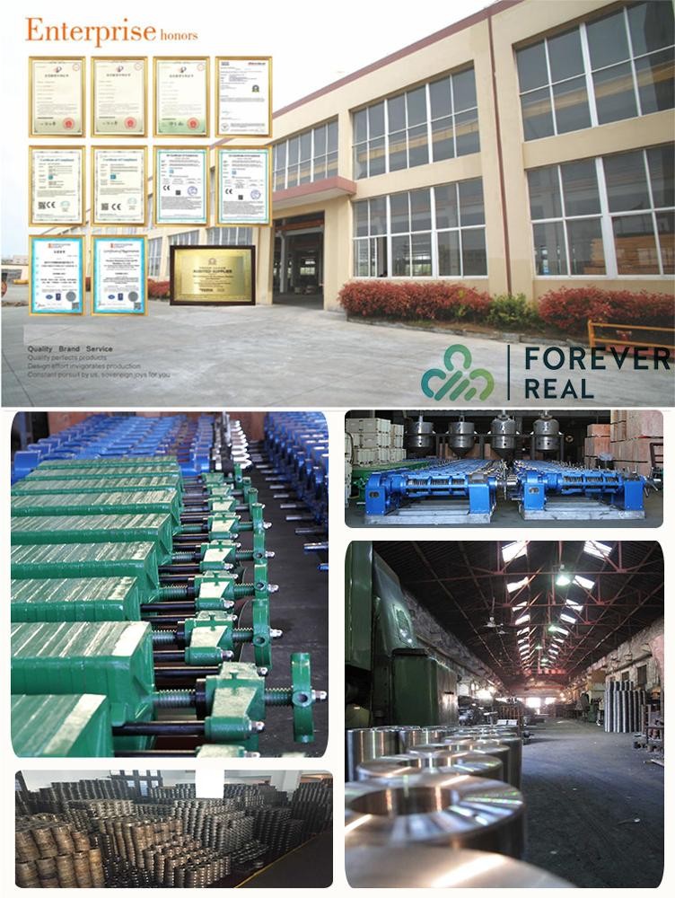 FOREVERREAL 10-12 t/day Low Residual cooking oil filter press machine,Prepressed Oil cake extraction Machinery