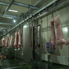 Automatic Pig Carcass Singeing Oven Slaughter Machine