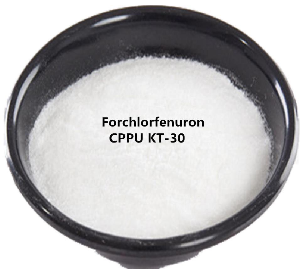 Forchlorfenuron CPPU 99%TC Plant Growth Regulator Wholesale Factory Price KT-30 0.1%SL 0.5%SL 0.1%SP