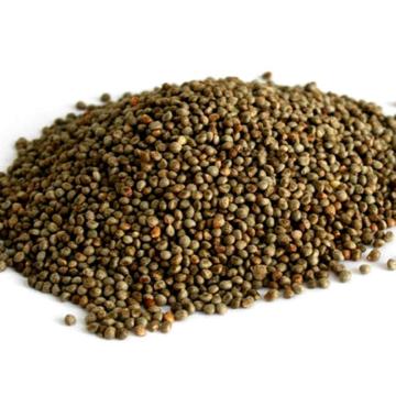 Perilla Seed in top quality