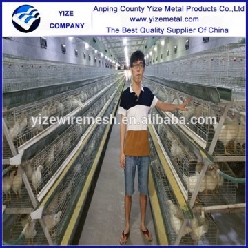 alibaba china market 3 tier 120 capacity chicken layer cage for poultry in dubai