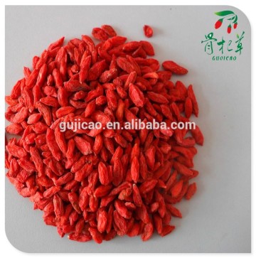 2016 sun dried nignxia goji berries wolfberry
2016 sun dried nignxia  goji berries wolfberry