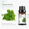 Wholesale Natural Aromatic Spearmint Essential Oil Cosmetic