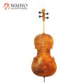 Bellissimo violoncello entry level a fiamma di vendita caldo