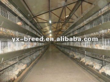 Q235 steel mesh wire battery cages for layers