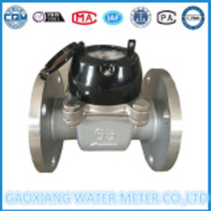Dry disc detachable screw watermeter Leng Falan