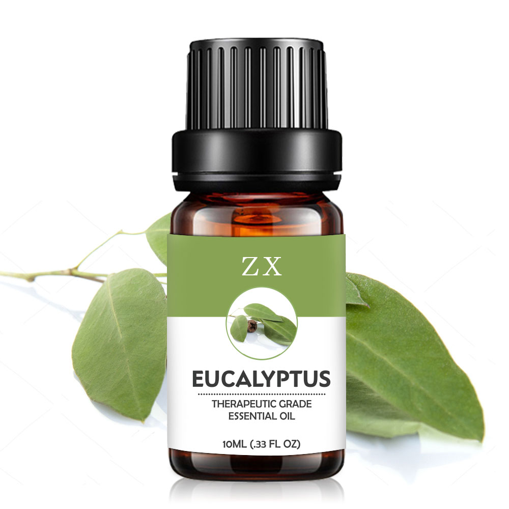 Fábrica Al por mayor al por mayor 100% Pure Essential Eucalyptus Oil con el mejor precio