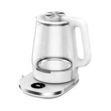 Good Quality glass healthy temp control electric kettle