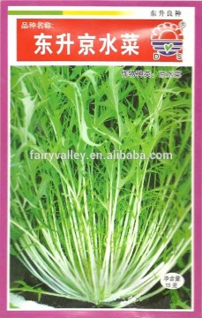 Sale mizuna Mustard Cabbage seeds chinese cabbage Vegetable for planting