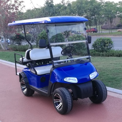 6 passenger gasoline sightseeing bus