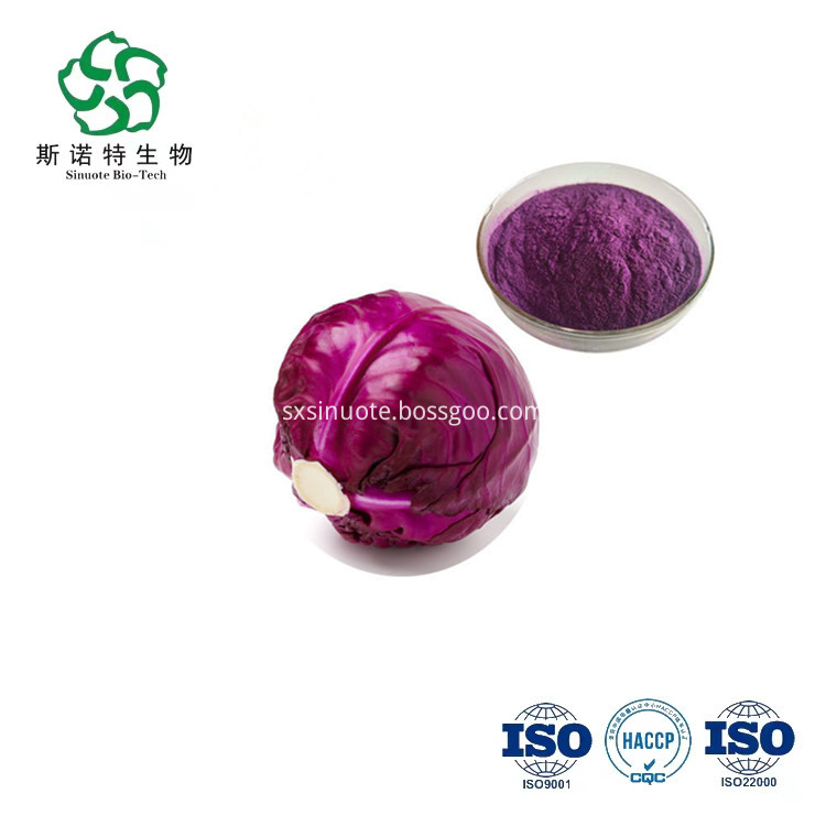Purple Cabbage Powder Purple Cabbage Powder