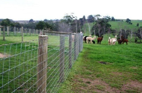 Spray Paint Powder Pvc Dipped Wire Mesh Panel Fencing For Highway, Sport Fence