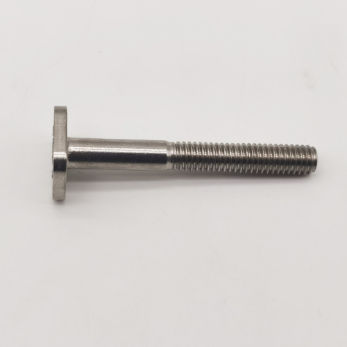 General Industry SS304 SS316 Flat T Head Bolt