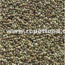 New Crop Hemp Seeds used for bird feed