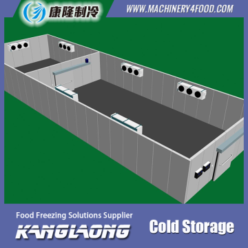Good Quality New Technology Cold Storage Companies