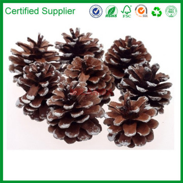 pine cone decor for Christmas