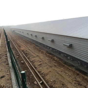 Poultry Framing Keeping Equipment From Qingdao China for One Stop Service