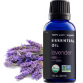 OEM óleo essencial de lavanda 100% puro