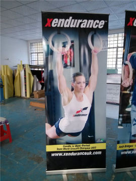 Roll Up Retractable Display Banners For Indoor Advertising