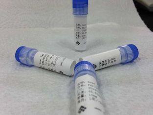 Goat anti Mouse-IgG Polyclonal Antibody Infectious Disease